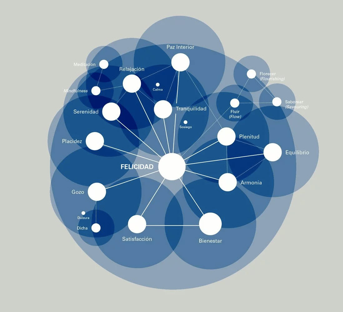 Visual Decision Intelligence